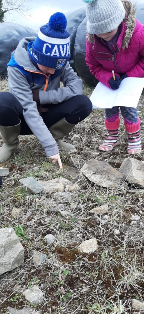 Oisín and Keeva on a bug hunt today.