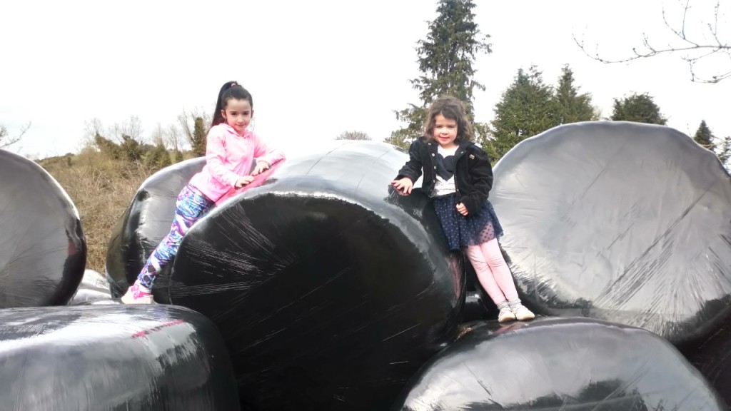 Chloe and Sarah enjoying the good weather and playing on the bales. 