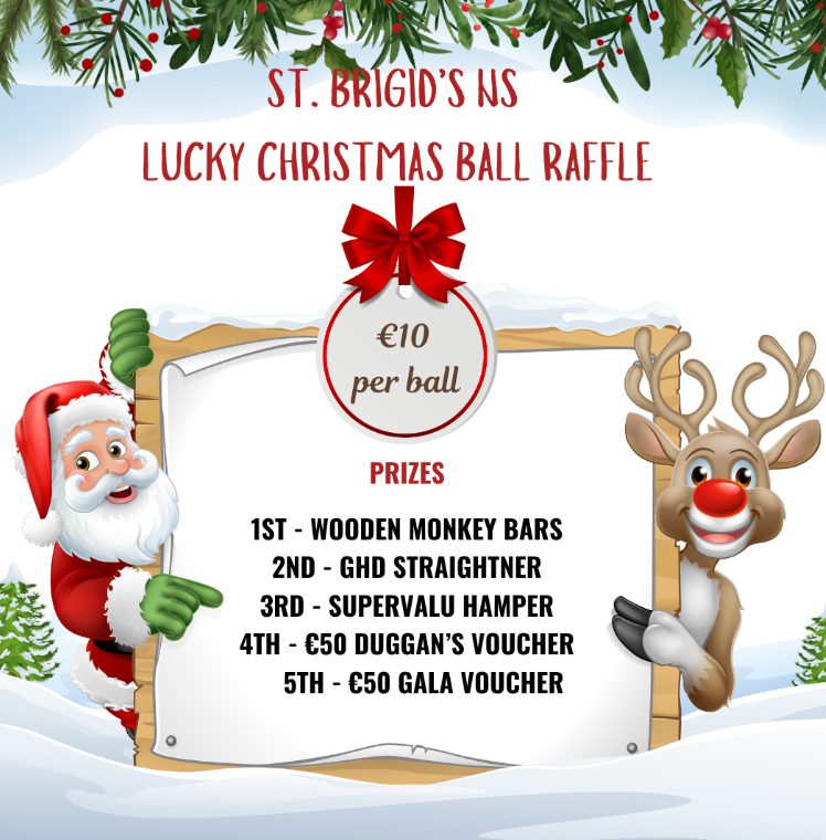 Christmas Lucky Ball Raffle 