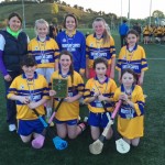Camogie Final