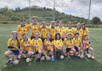 Hurling and Camogie Blitz