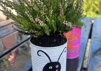 Shining Stars Plant Pots